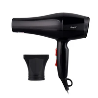 220v professional hair dryer powerful negative ion blow dryer 2 speed 3 heat settings salon hairdryer air collecting nozzle 750w