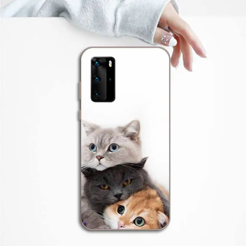 

Phone Case For Huawei P honor 8 10i 20 30 40 smart 2019 animal pattern beach universe flowers art painting