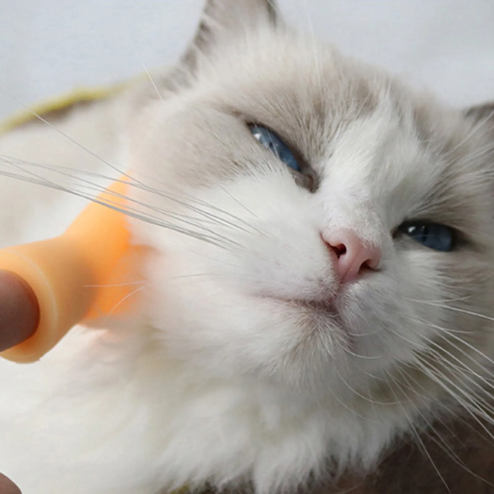 

Novelty Mini Hand Puppet Toys Funny Pets Soothing Interactive Toys Family Cats Dogs Interactive Hand Puppet Toys Funny Gift