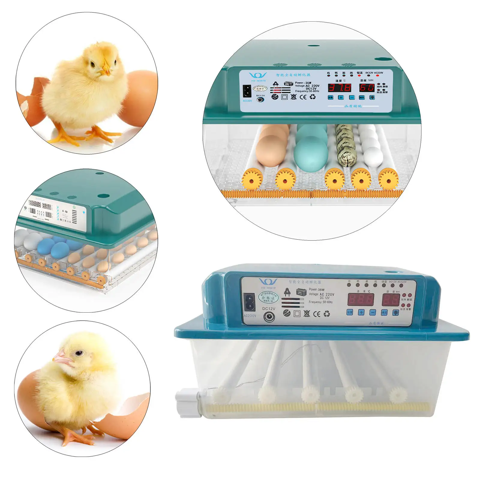 

Digital Egg Incubator 24 Eggs Incubator with Temperature Control Egg Candler for Quail Chicken Home Bird Goose EU Plug