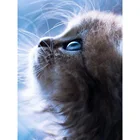 Алмазная картина квадратнаякруглая, с изображением милого кота, многокомпонентная вышивка, ручная работа, украшение для дома, мозаика, творческое искусство