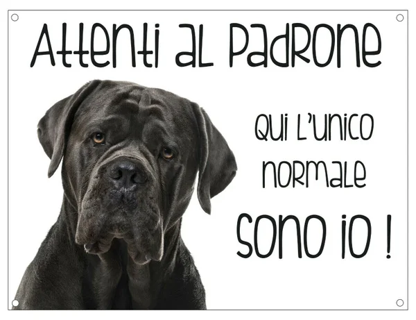 

Vintage Pet Cane Corso Watch the Master Here the Only Normal Is Me Metal Tin Sign 8x12 Inch Retro Home