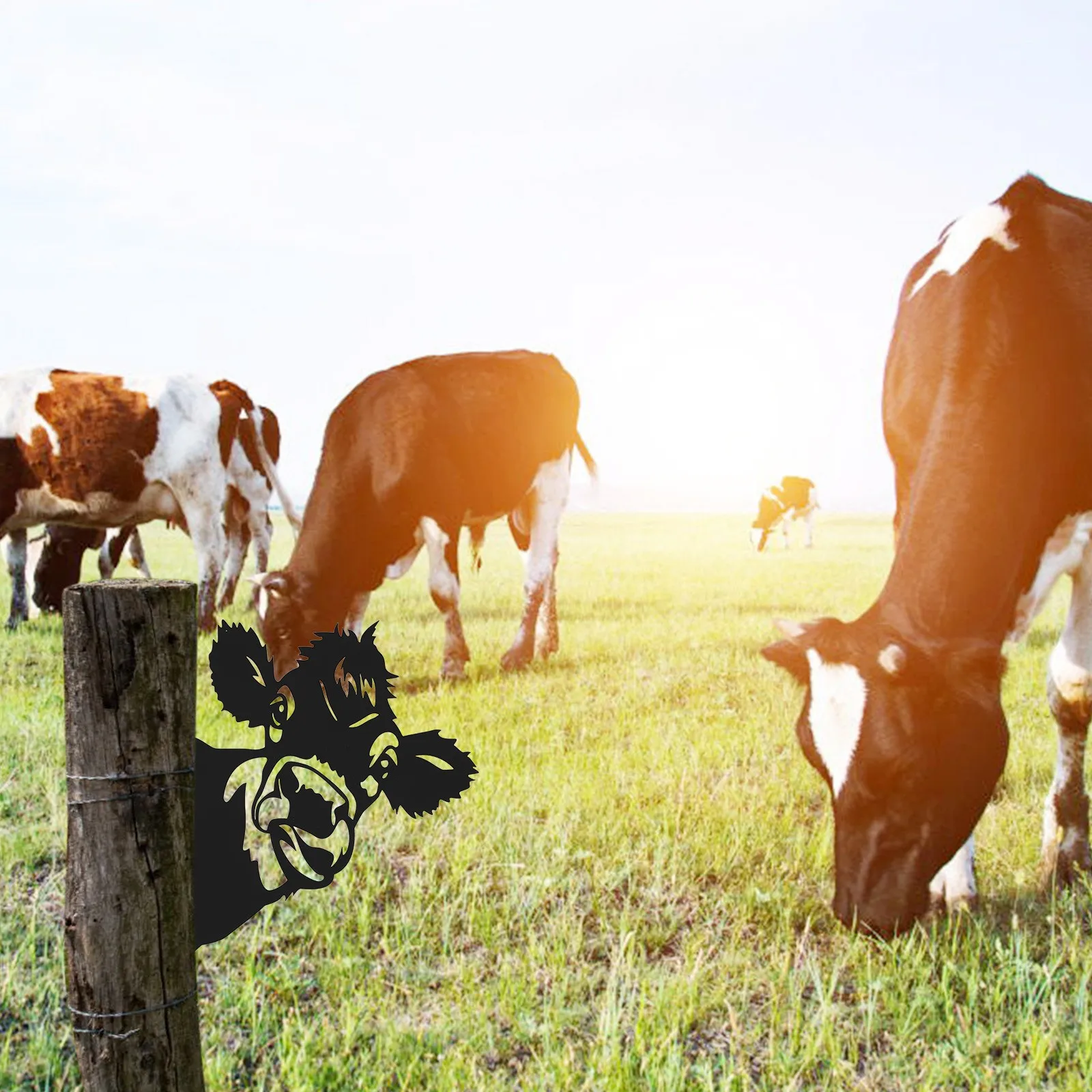 

Wall Shelf Decorative For Bedroom Living Room Handmade Peeping Animal Decoration Art Metal Decor Wall Hanging Adornment Balcony