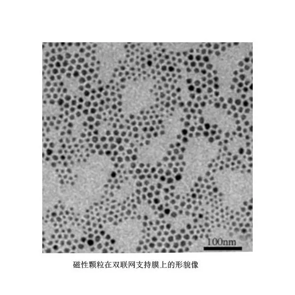 Дуплексная опорная сетчатая пленка для магнитных образцов/Электронная