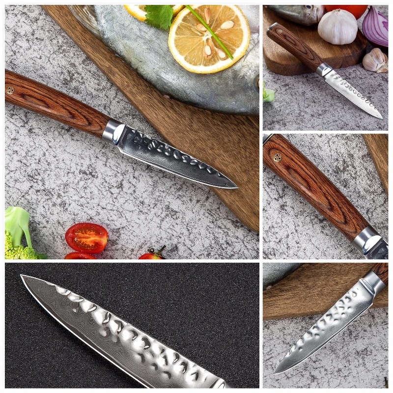 

Grandsharp 2 Pcs Japanese Damascus Steel Kitchen Knife Set 67 Layers VG10 Japanese Damascus Kitchen Knives Santoku Paring Knife
