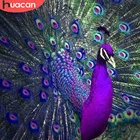 Набор для алмазной живописи HUACAN Бриллиантовая мозаика с изображением павлина 5D для вышивки животных, домашний декор