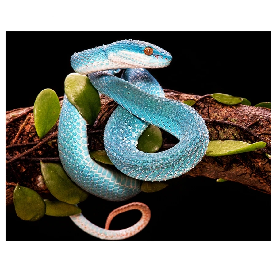 Алмазная 5D живопись змея животное полная вышивка с кристаллами картина по