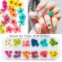 24364860pcs natural dried flowers nail art for women girl diy nail designs 3d japanese nail art decorations nail supplies