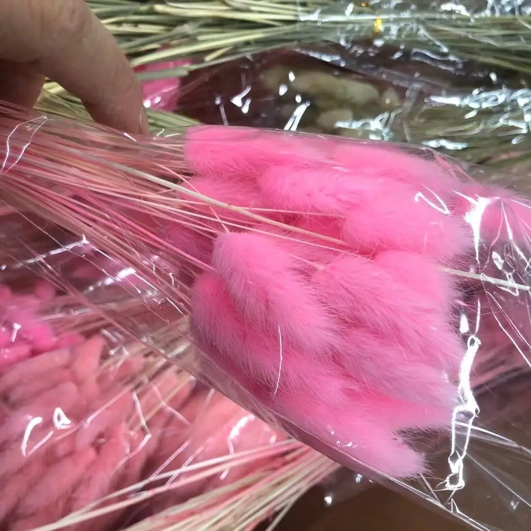 

25/50/100/200/500 pcs Natrual Dried Flower Rabbit Tail bunny tail Home Decoration white black pink Wholesale