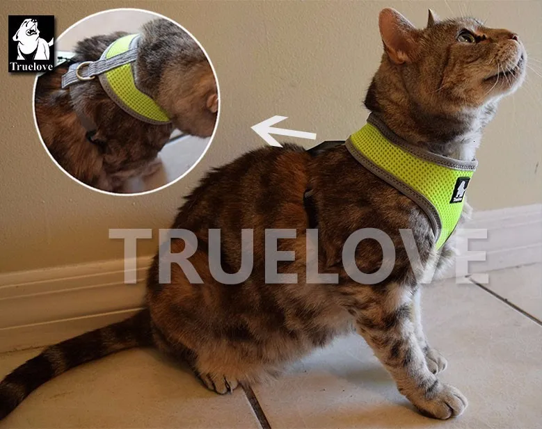 Truelove нейлоновый жилет для собак с дышащей сеткой, поводок для собак, кошек, собак, поводок для собак, ошейник для маленьких и средних собак