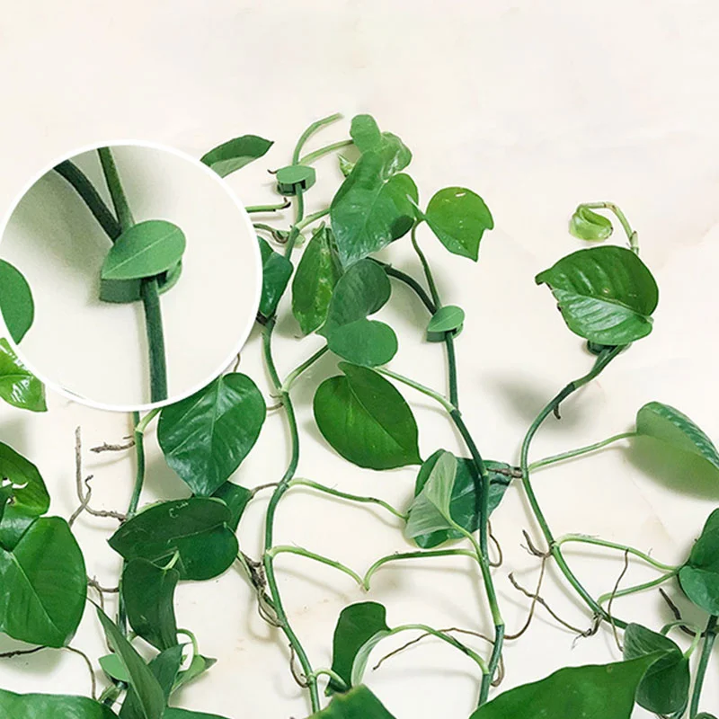 

10pcs Plant Fixture Clip Plant Climbing Wall Self-Adhesive Fastener Tied Fixture Vine Buckle Hook Garden Plant Wall Climbing