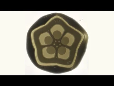 

Машина okra шаблон специальная форма восковая печать Лаковая печать головка Свадебная поздравительная открытка восковая печать