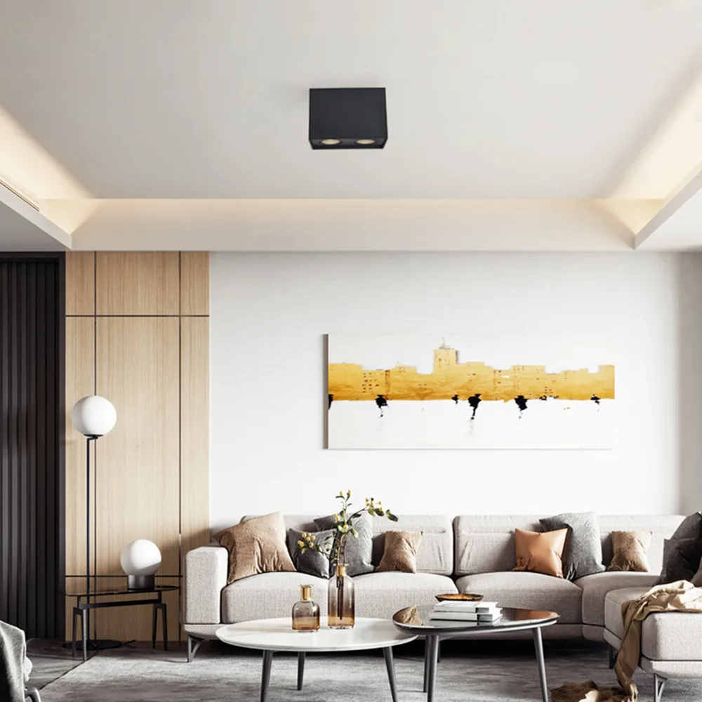 Светодиодный точечный светильник GU10 с одной двойной головкой потолочный