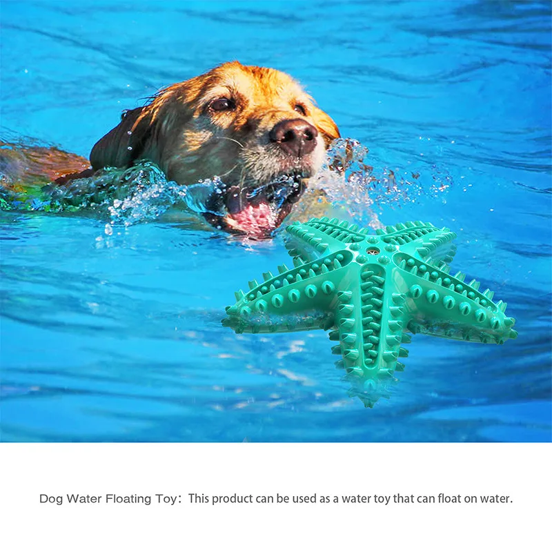 

Newly Pet Molar Toys Dog Toothbrush Starfishes Shape Squeaky Pets Outdoor Training Puzzle Dog Toys Teeth Cleaning Pet Puppies