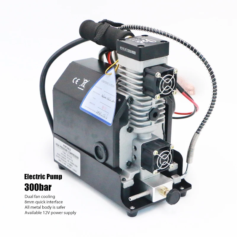 Portable 30mpa 12V pcp pump High 4500psi Pressure Air Compressor For Quick Inflation