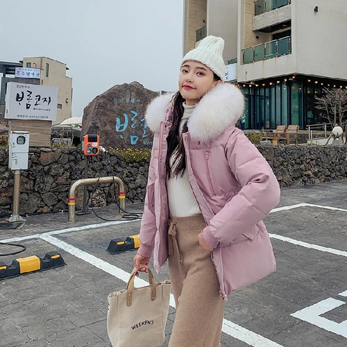 

Cheap wholesale 2019 new autumn winter selling women's fashion netred casual warm jacket female bisic coats FP5100