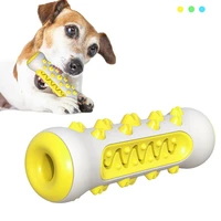 pet dog cleaning teeth chew toy molar toothbrush dog toys chew safe elasticity soft tpr puppy dental care extra tough pet toy