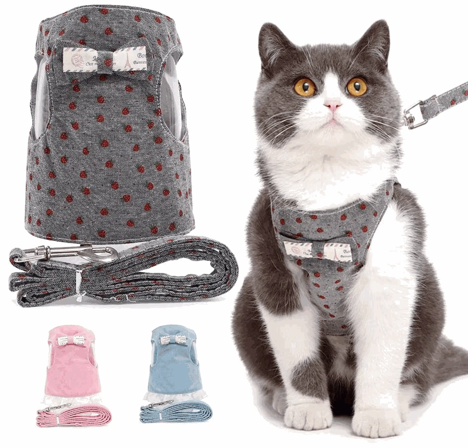 

Vest-style Outing Cat Walking Pet Leash Bowknot Denim Vest Cat Leash Comfortable and Sweet with Traction Rope