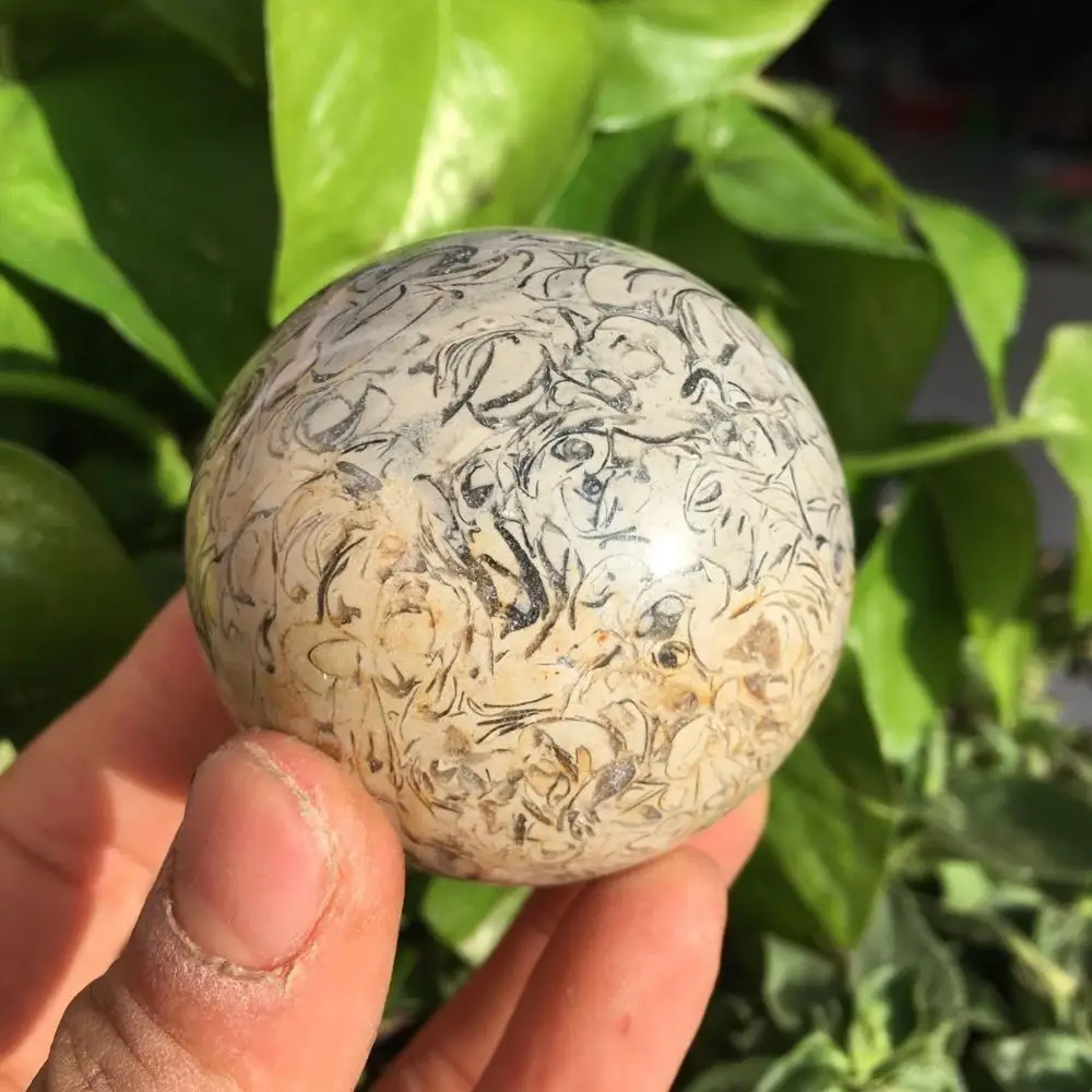 Динозавр кости окаменелости мяч натуральный окаменелый Камень Сфера гладкая
