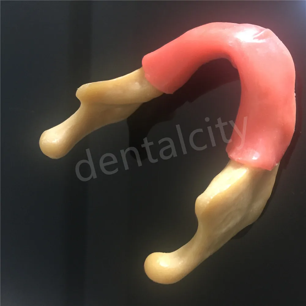 Стоматологическая силиконовая нижняя челюсть с мягкой тканью для моделирования