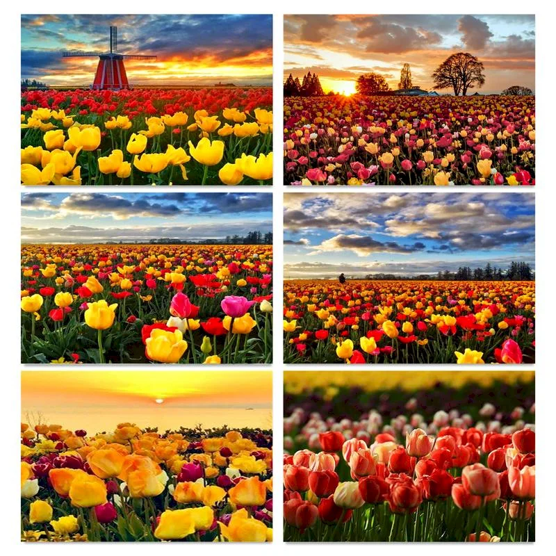 

Gatyztory Frame Paint By Number For Adults Landscape Modern Picture By Numbers Acrylic Paint On Canvas Home Decors Artwork