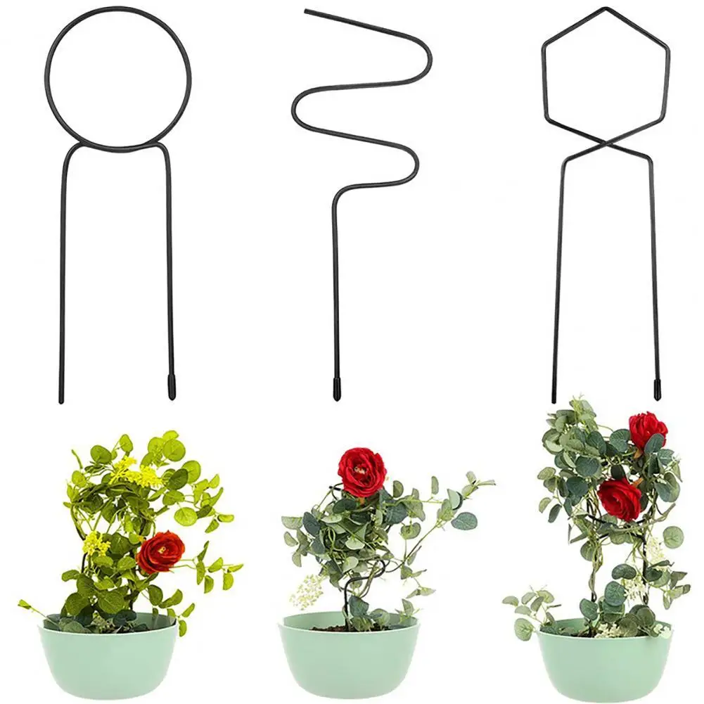 

3 шт./компл. подъемная стойка для винограда, кронштейн для поддержки горшечных растений, решетчатый стержень, железная подставка для цветов, ...