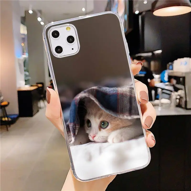 

cute cat animal high quality funny Phone Case Transparent soft For iphone 5 5s 5c se 6 6s 7 8 11 12 plus mini x xs xr pro max