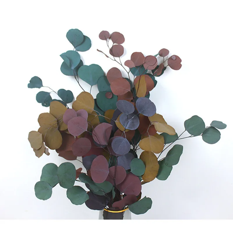 

Apple Eucalyptus Leaves Forever Natural Dried Interior DIY Flower Arrangement Wedding Decoration Home Decor Colourful Dekoration