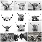 Highland черно-белая корова, холст, Постер и печать, скандинавский скот, Скандинавская Настенная картина для декора гостиной