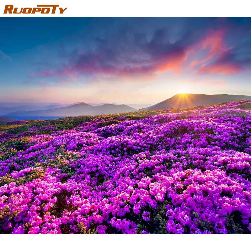 

RUOPOTY Unframe Oil Painting By Numbers Lavender DIY Handpainted Gift Acrylic Paint Coloring By Numbers Flower Decor For Home