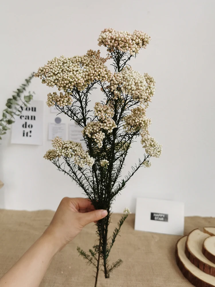 10 шт. натуральный сушеный бессмертный цветок Millet смешанный цвет Ramillete Flores Eternell