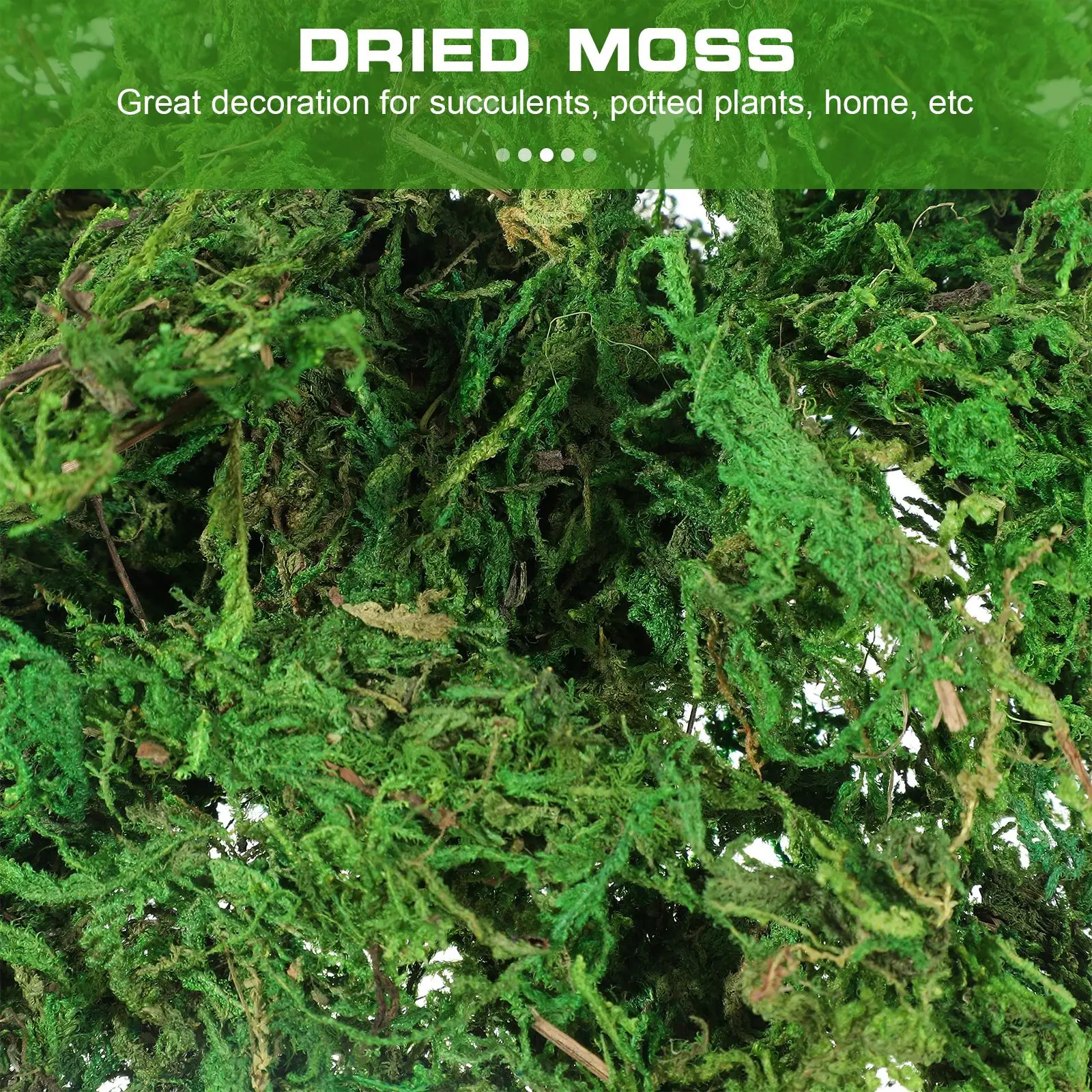 VOSAREA 3 Packs Natural Dried Moss Decorative Lichen Plants for Home Garden Patio Decoration | Дом и сад