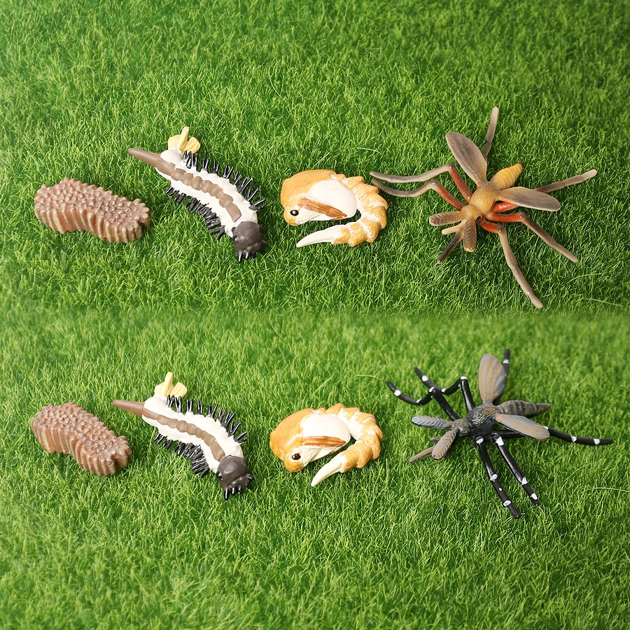 Реалистичный цикл роста животных набор моделей жизненного цикла от комаров