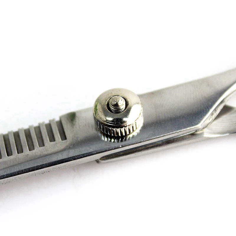 6 дюймов для домашних животных ножницы стрижки собак волос зубов резец