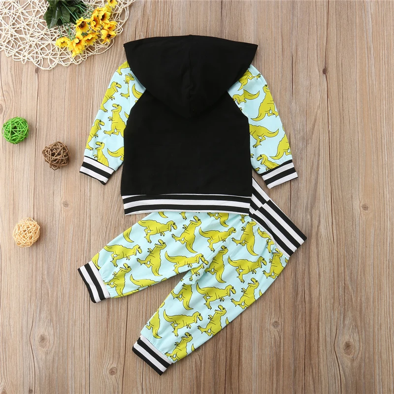 2020 new autumn baby Boy's Two Piece Set Dinosaur Pullover Hoodie for Toddlers Infant's Printed Striped Trousers casual outfit