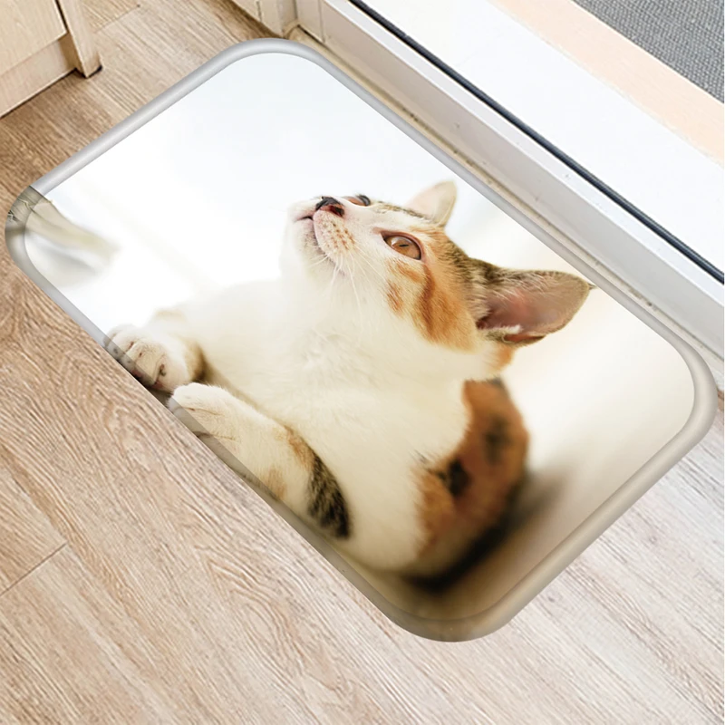 Коврик для входной двери с забавным принтом кота нескользящий домашний декор 40x60