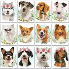 Алмазная живопись с животными персидская кошка Тедди Собака Хаски пастушья Шнауцер щенок бультерьер вышивка мозаика вышивка крестиком подарок