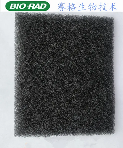 

Black sponge pad, electrophoresis accessories, electrophoresis instrument, electric transfer instrument, electric transfer clamp