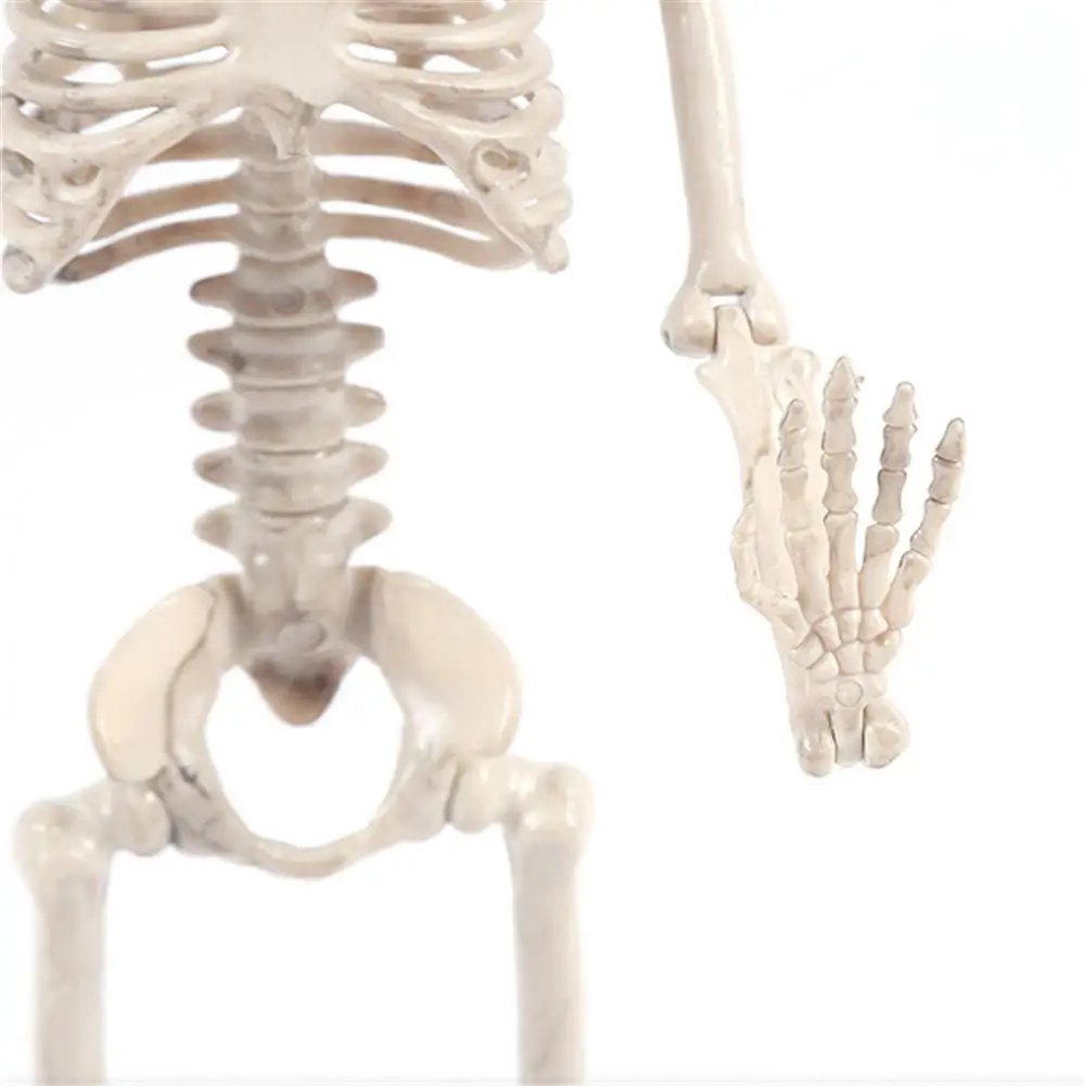 Poseable Skeleton Figure With Movable Joints Haunted House Props For Halloween Party Decoration