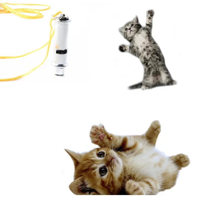 Свисток для собак высокочастотный неядерный двойной тон звук металлический