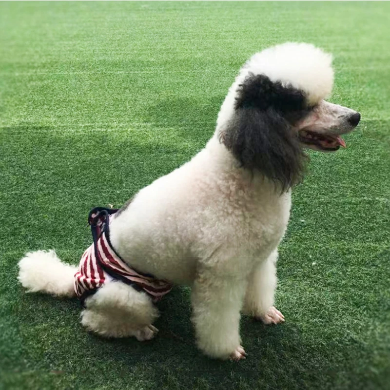 

New Hot Pet Sanitary Pants Puppy Underwear Breathable Panties Physiological Pants Diaper For Dog