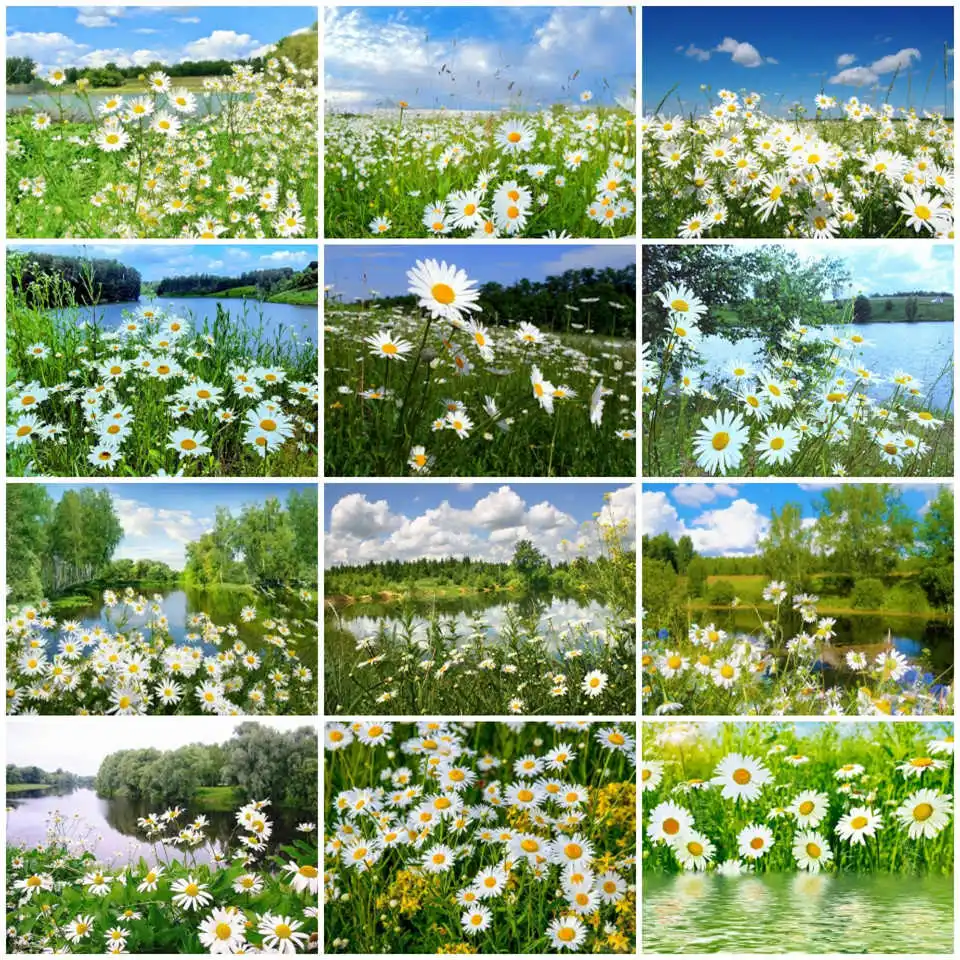 AZQSD Алмазная картина Маргаритка декорация крестиком подарок вышивка природа