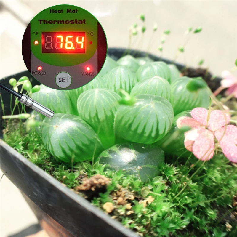 Digital Seedling Heat Mat Thermostat Temperature Controller for Seed Germination Reptiles and Brewing Setting Range Is 68-108 Fa |