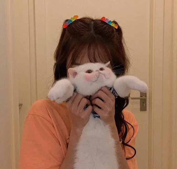 Новинка резиновые заколки для волос в Корейском стиле конфетных цветов форме