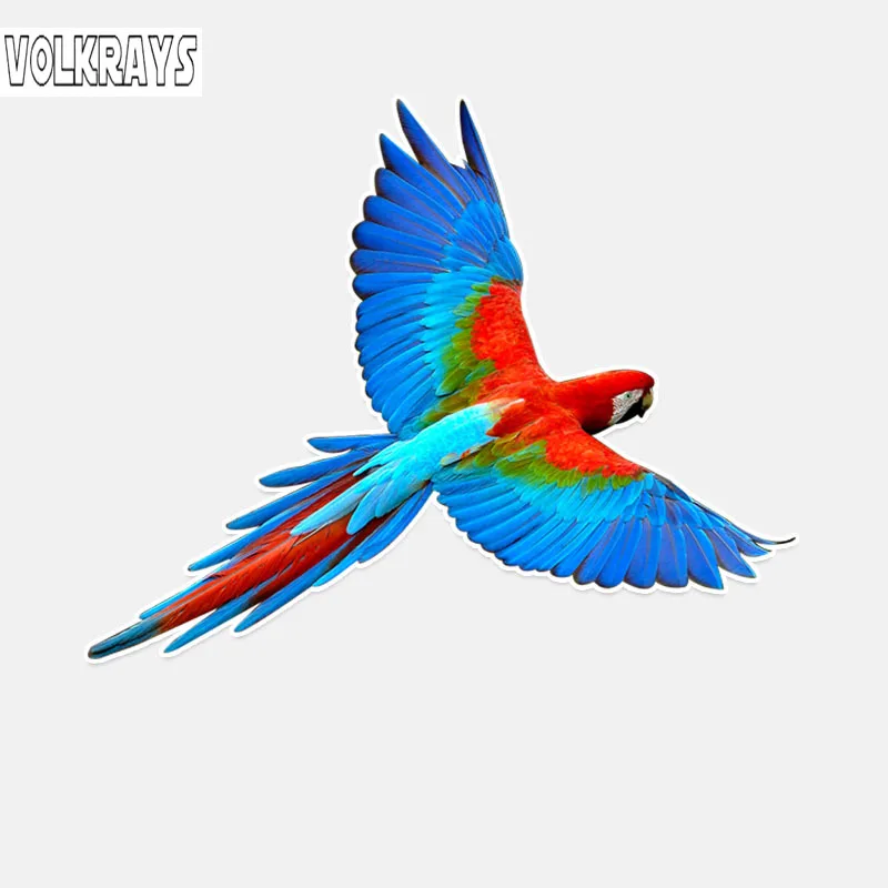 Volkrays индивидуальная Автомобильная наклейка красивые аксессуары для попугая