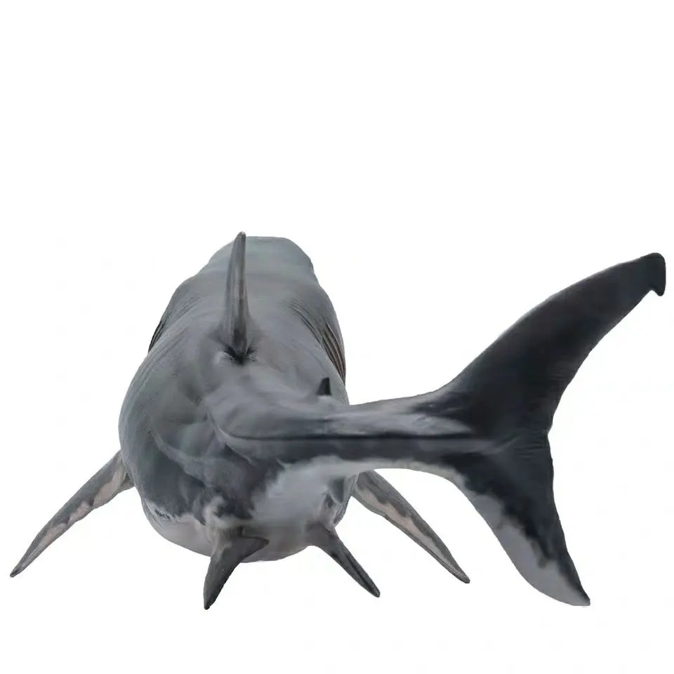 16*10 см моделирование Megalodon Акула океан животных серии статические изысканные