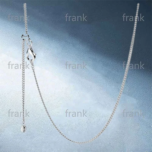 

398283-Curb-Chain-Necklace