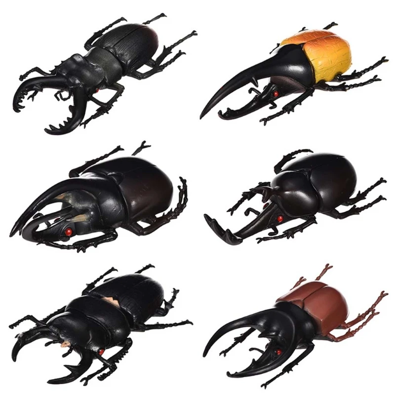 

6pcs/set Simulation Solid Static Insect Model Ornaments Realistic Beetle Child Educational Props Scene Decor Kids Toy