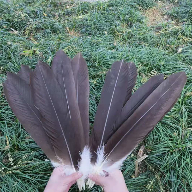 

10pcs Natural color the eagle feathers 40-50cm/16-20 inches long eagle plumage handicrafts Halloween, Christmas, performances