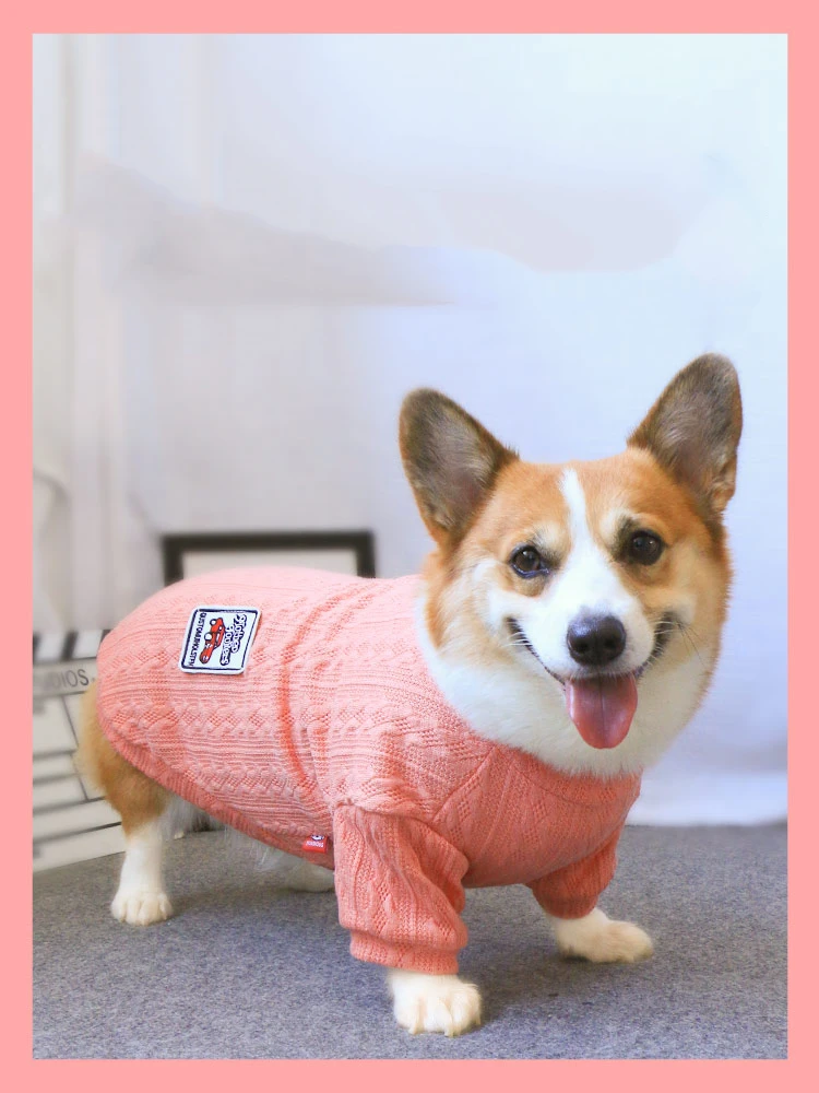 

Dog Clothes For Small Dogs Coat Winter Dog Hoodie Puppy Pet Clothing For Dogs Sweatershirt Pet Outfits